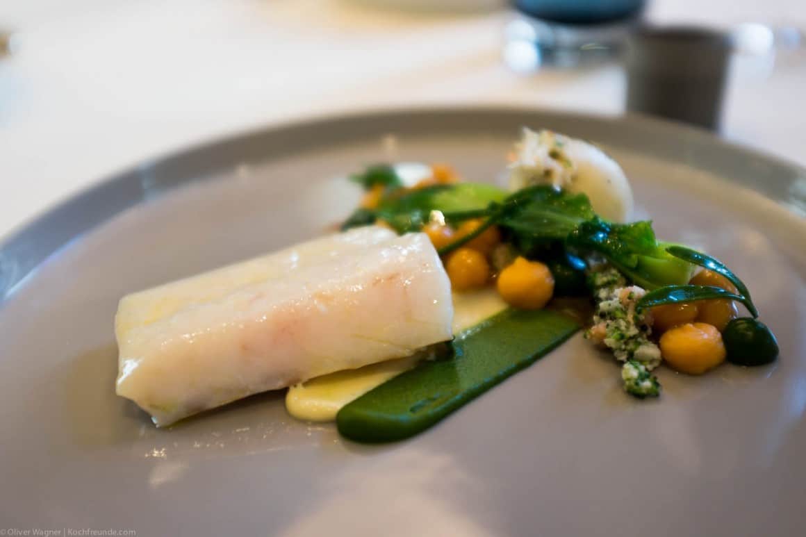 Turbot