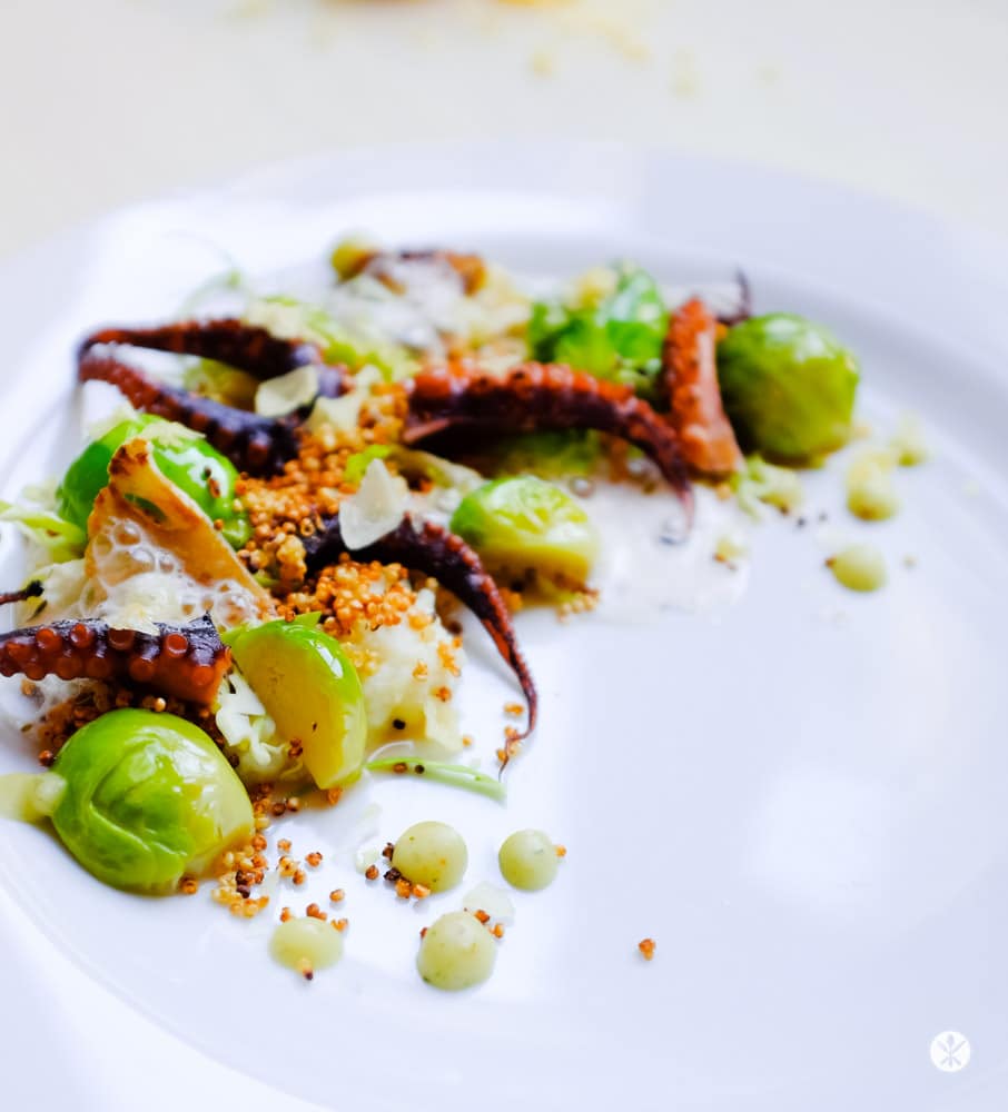 falksalt-rezept-pulpo-8